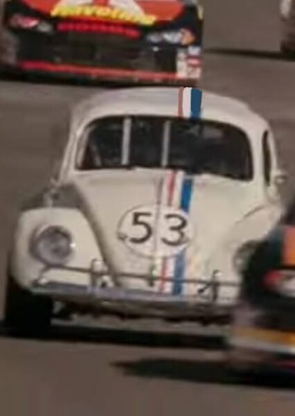 Herbie photo
