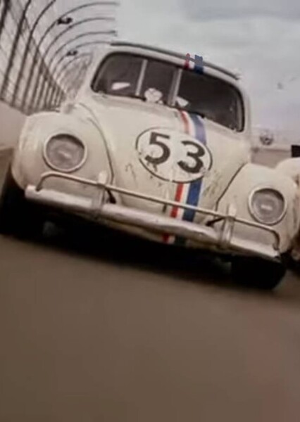 Herbie photo