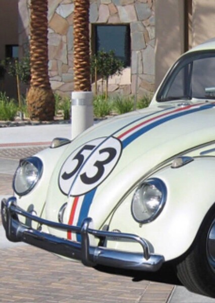 Herbie photo
