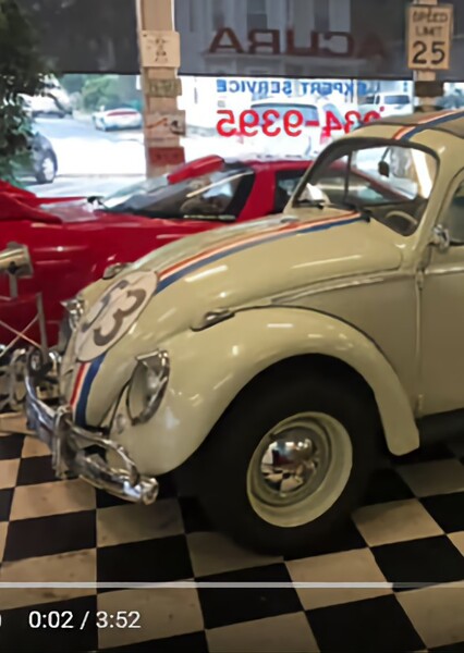 Herbie photo