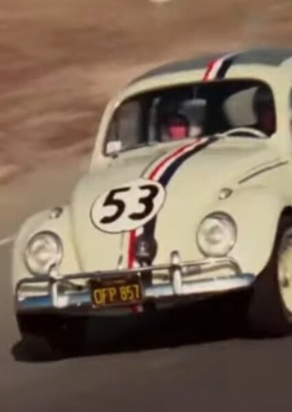 Herbie photo