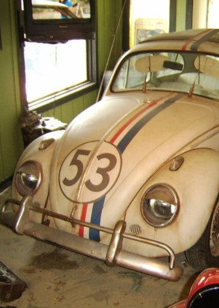 Herbie photo