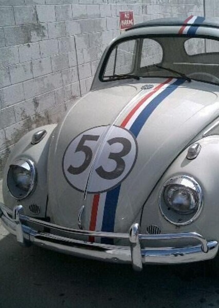 Herbie photo