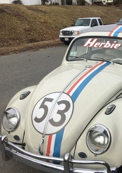 Herbie photo