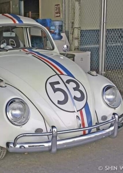Herbie photo