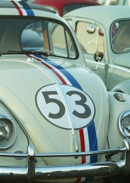 Herbie photo