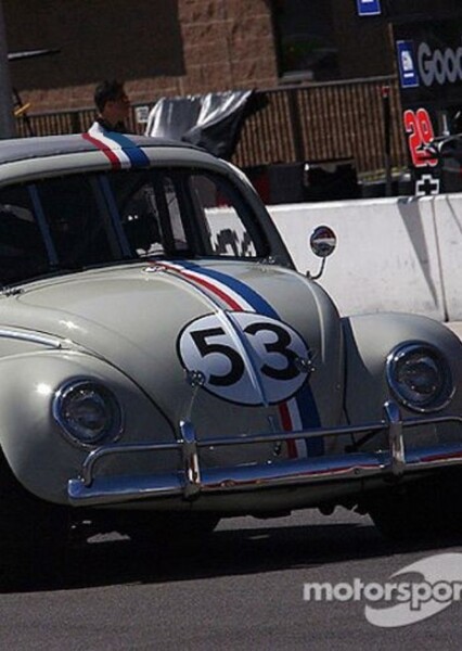 Herbie photo
