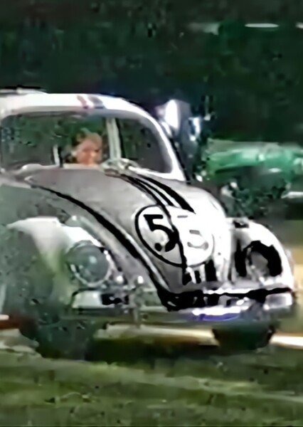 Herbie photo