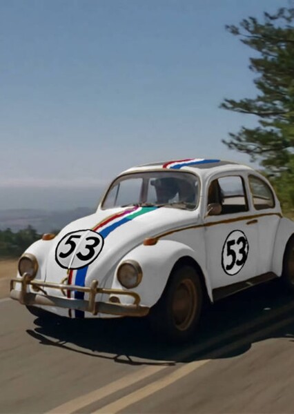 Herbie photo