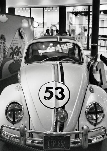 Herbie photo