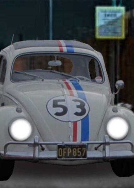 Herbie photo