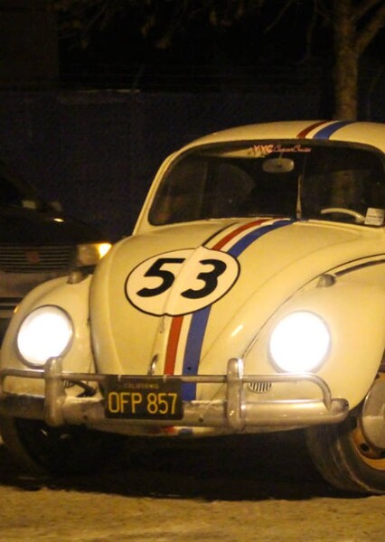 Herbie photo