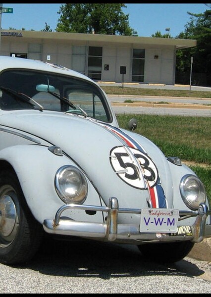 Herbie photo