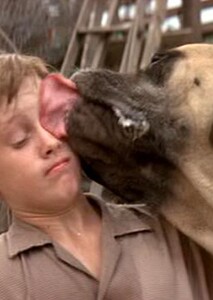 Hercules (better known as The Beast) licking Scotty Smalls