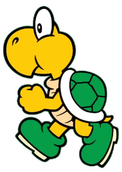 Hero Koopa Troopa photo