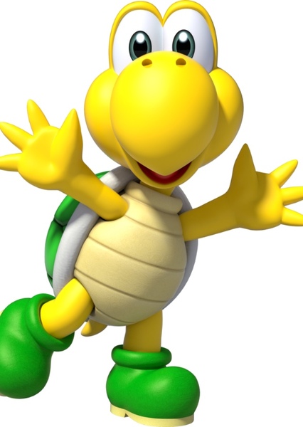 Hero Koopa Troopa photo