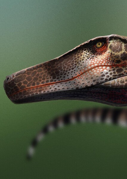 Herrerasaurus photo