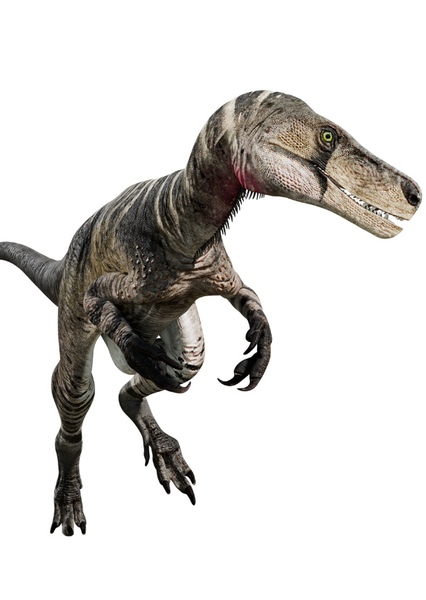 Herrerasaurus photo