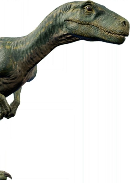 Herrerasaurus photo