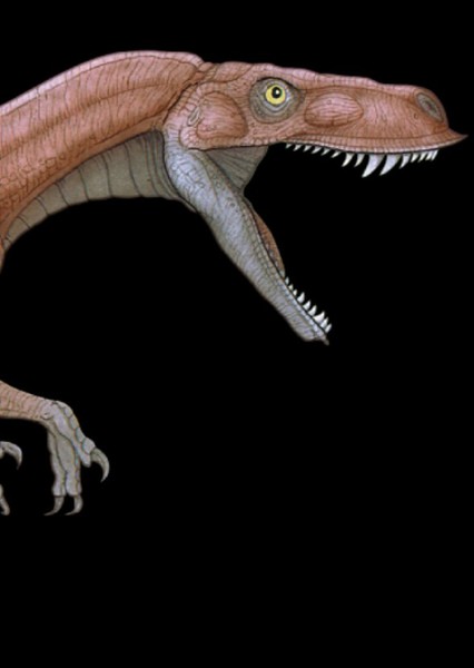 Herrerasaurus photo