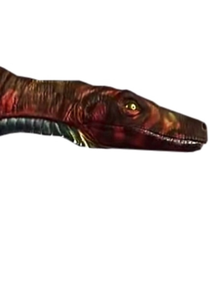 Herrerasaurus photo