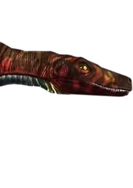 Herrerasaurus photo
