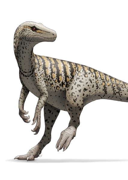Herrerasaurus photo