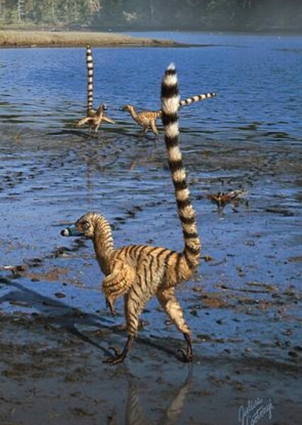Hesperonychus photo