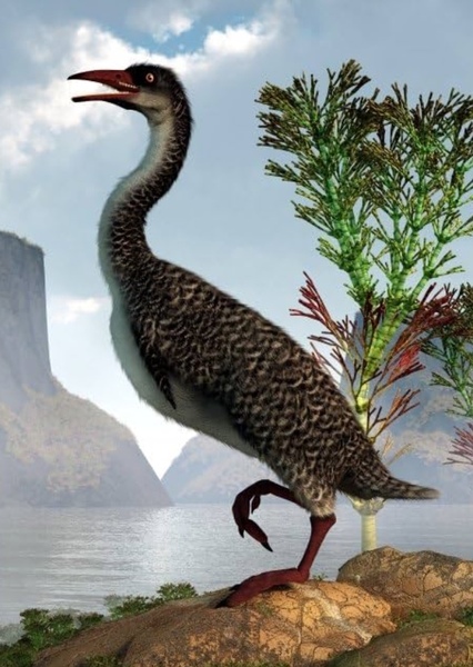 Hesperornis photo