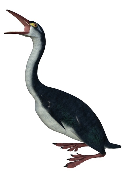 Hesperornis
