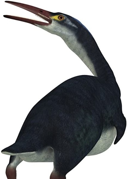 Hesperornis photo