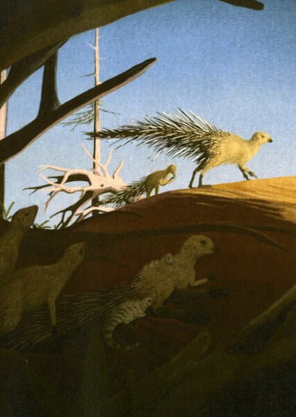 Heterodontosaurus