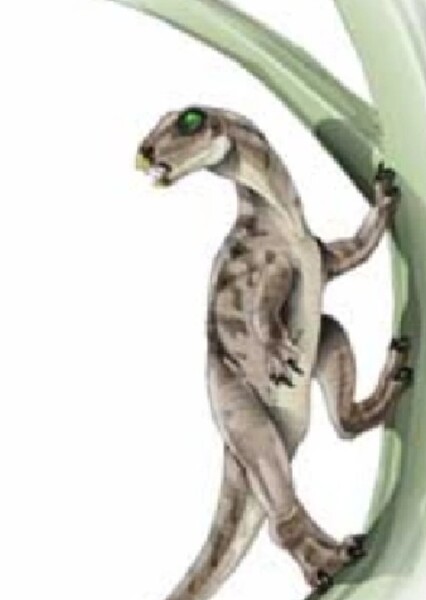 Heterodontosaurus (Jurassic Park Institute)