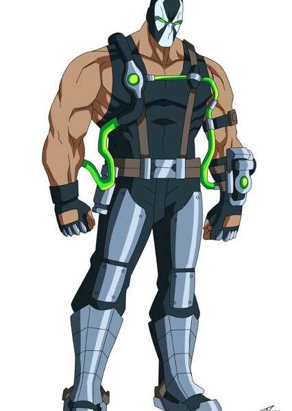 HIGH PERFORMER LTD NUMBER BANE