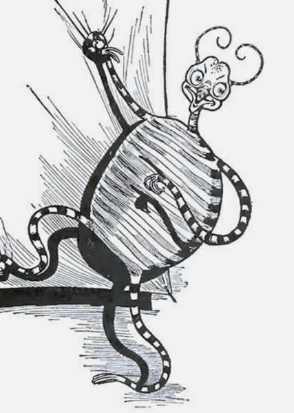 Highly Magnified Woggle-Bug, Thoroughly Educated photo