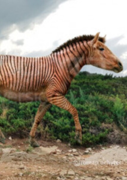 Hippotherium