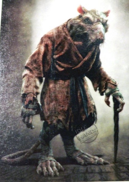 Hiroyuki Sanada photo