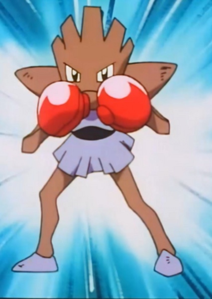 Hitmonchan photo