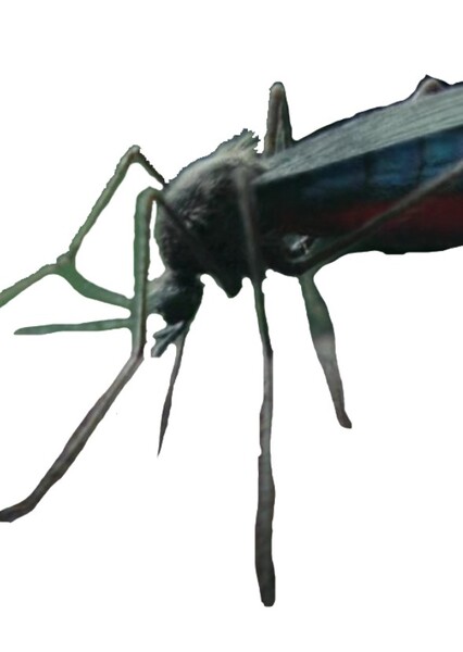 Hollow Earth Mosquito