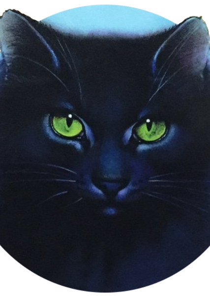 Hollyleaf photo
