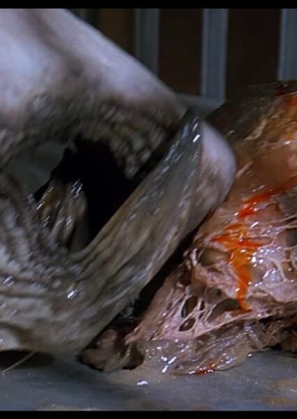 Hollywoodedge, Blood Gush Multiple FS044301