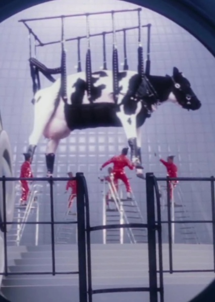 Hollywoodedge, Cattle Cow Moo Bellow AT041501 photo