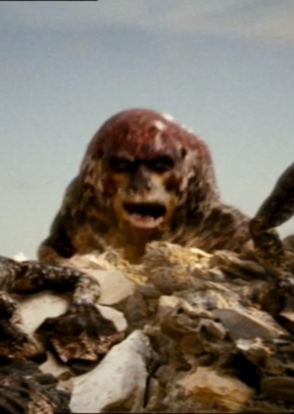 Hollywoodedge, Walrus Grunts Multip AT038601 photo