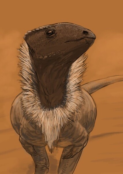 Homalocephale
