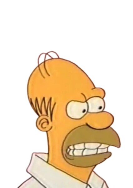 Homer Simpson photo