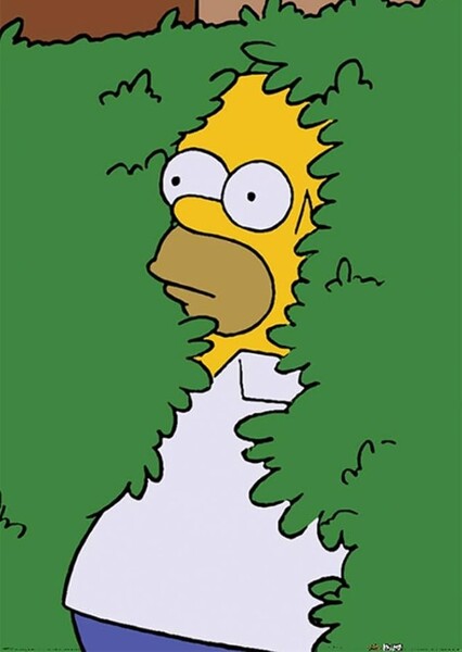Homer Simpson