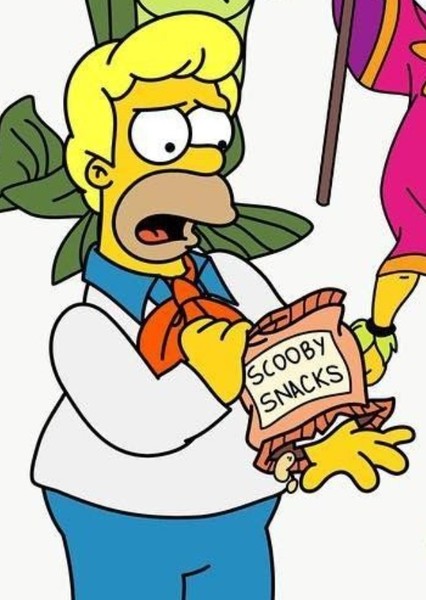 Homer Simpson photo