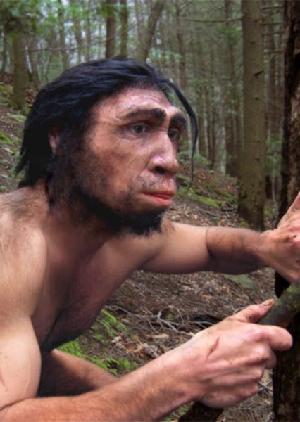 Homo erectus photo