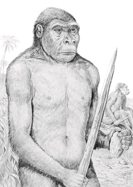 Homo erectus photo
