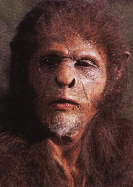 Homo habilis photo